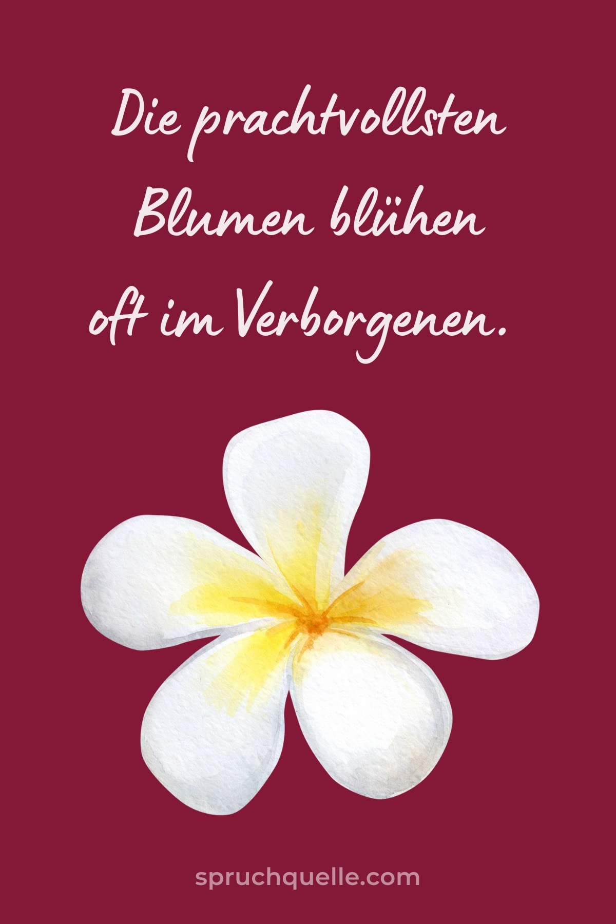 Die prachtvollsten Blumen blühen oft im Verborgenen. Weiße Blume auf weinrotem Hintergrund mit inspirierendem Spruch