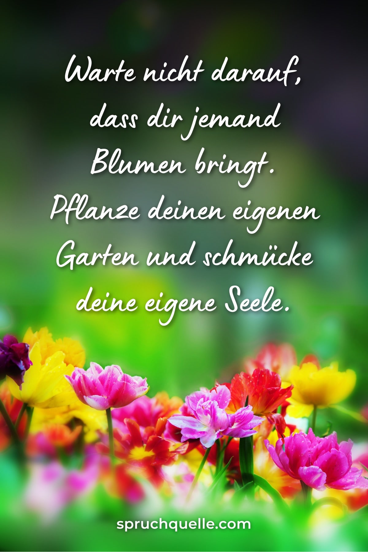 Luther Burbank Bunter Blumengarten mit inspirierendem Zitat