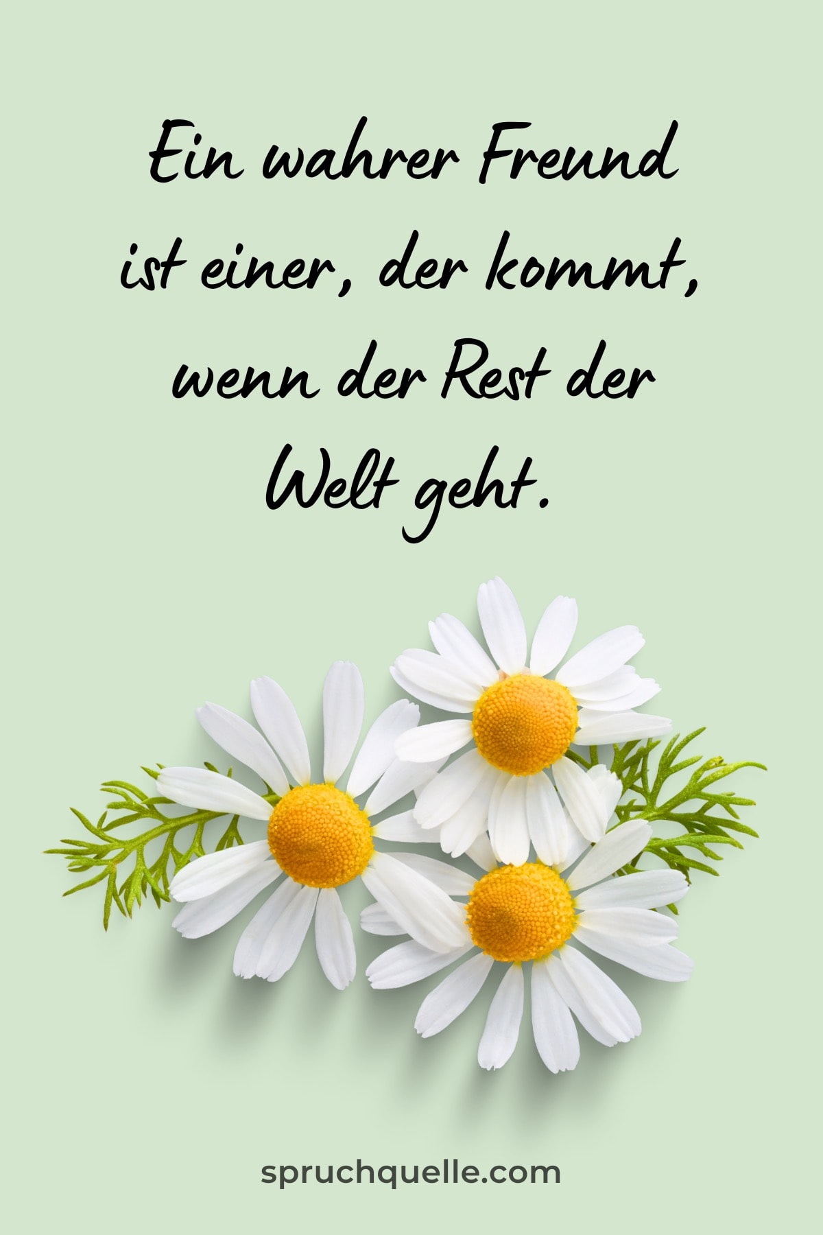 Walter Winchell Zitat über Freundschaft mit Gänseblümchen auf grünem Hintergrund
