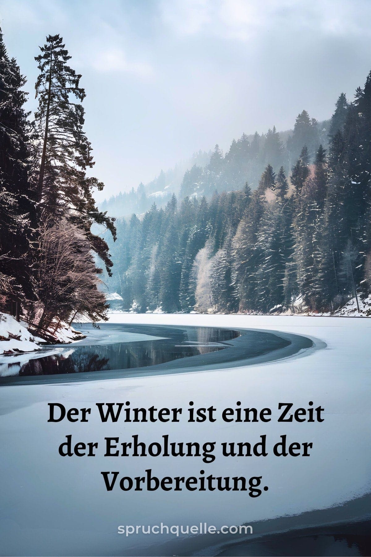 Paul Theroux Winterlandschaft mit schneebedeckten Bäumen und einer kurvigen Straße
