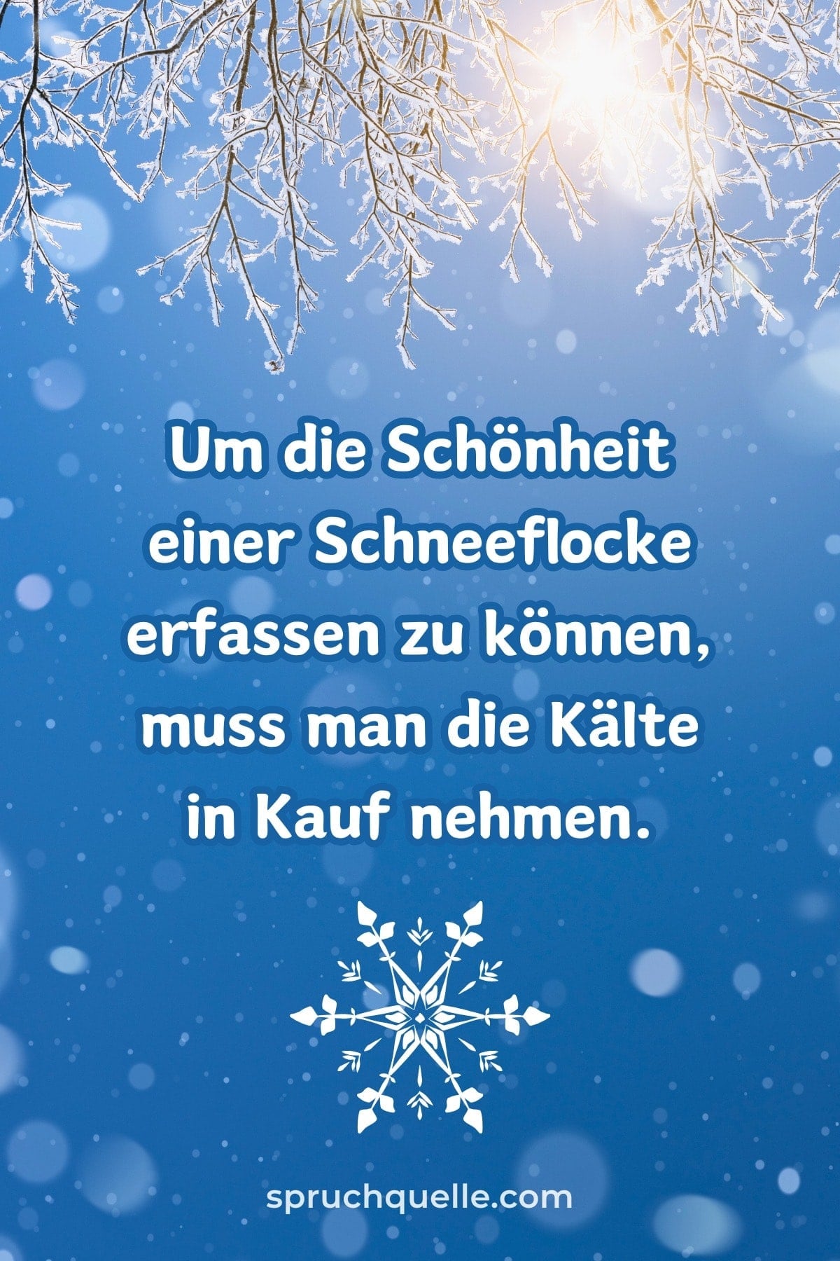 Um die Schönheit einer Schneeflocke erfassen zu können, muss man die... Verschneite Zweige und ein Zitat über die Schönheit der Schneeflocke